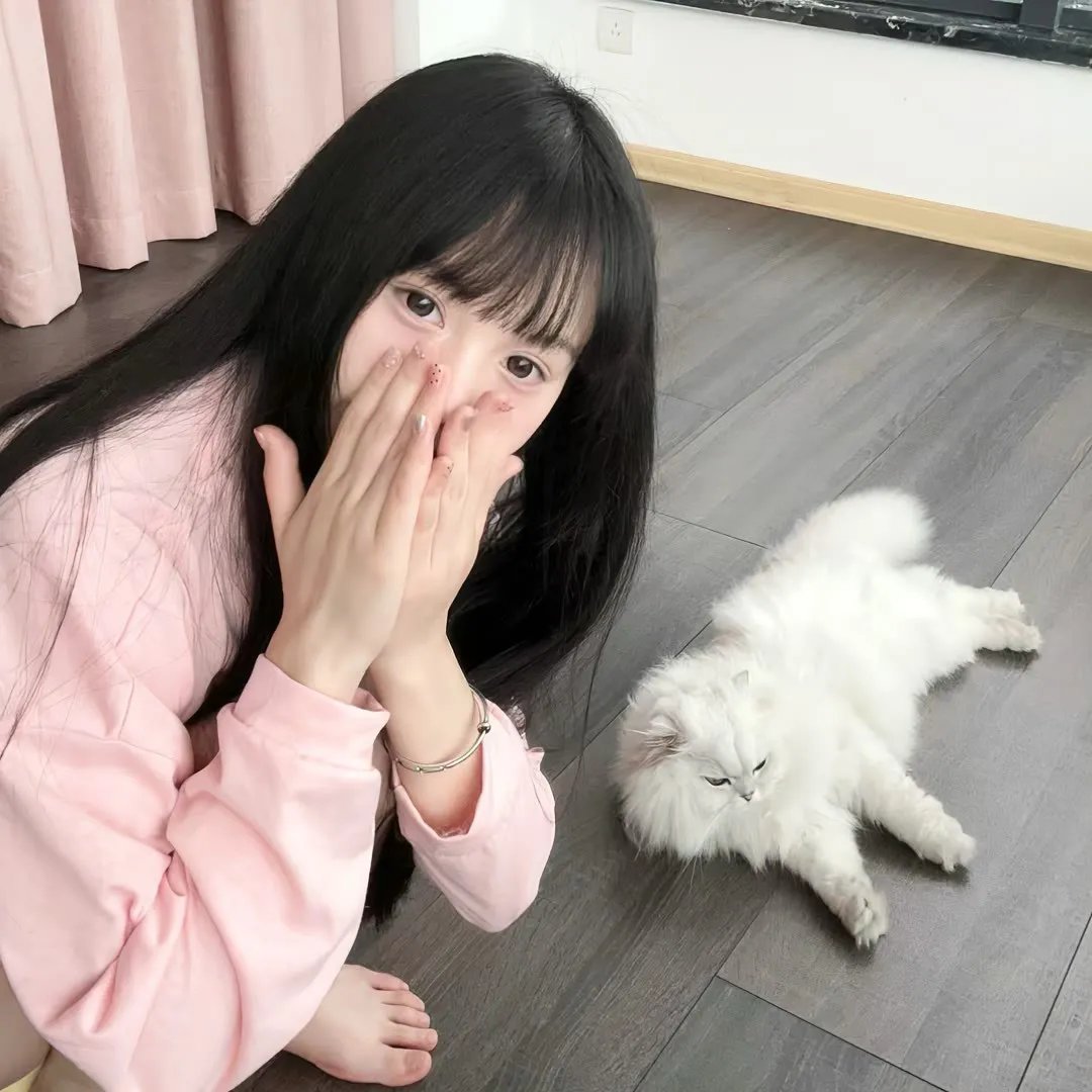 妈妈咪呀2