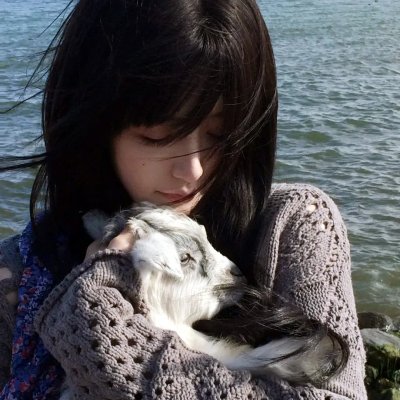 百合绽放